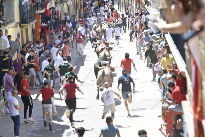 Galería | Almassora vibra con el encierro de cerriles de Gerardo Ortega
