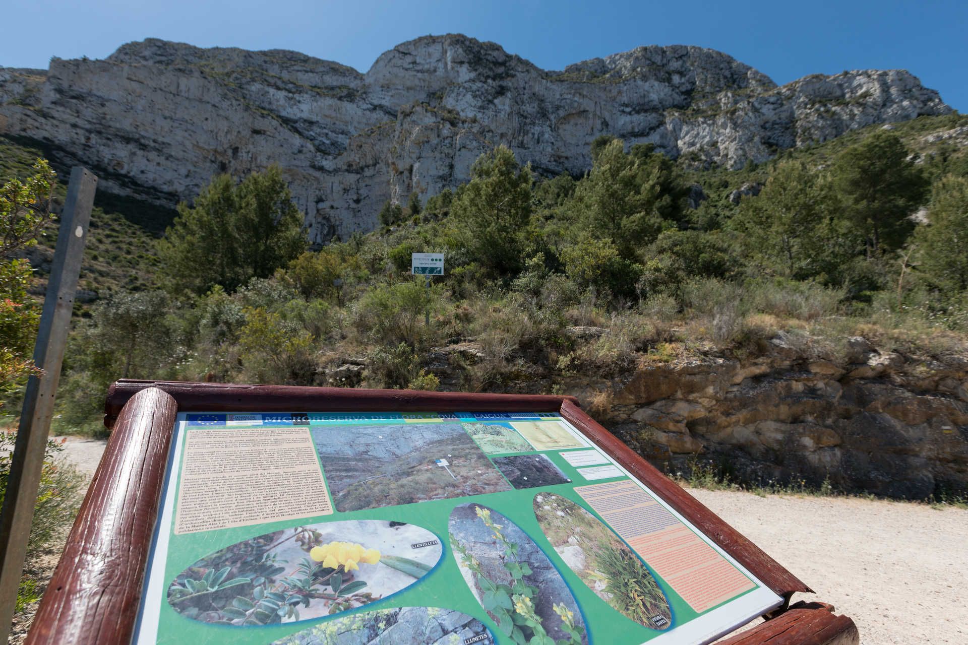 Parque natural del Prat de Cabanes-Torreblanca