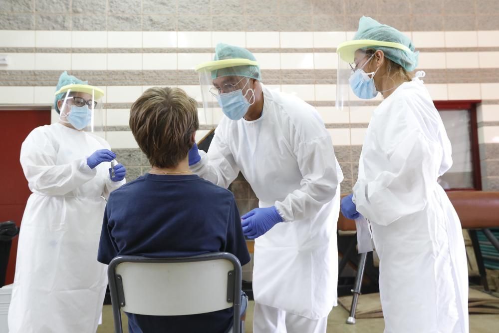 Extracció de mostres PCR a l'escola Bell-lloc de Girona