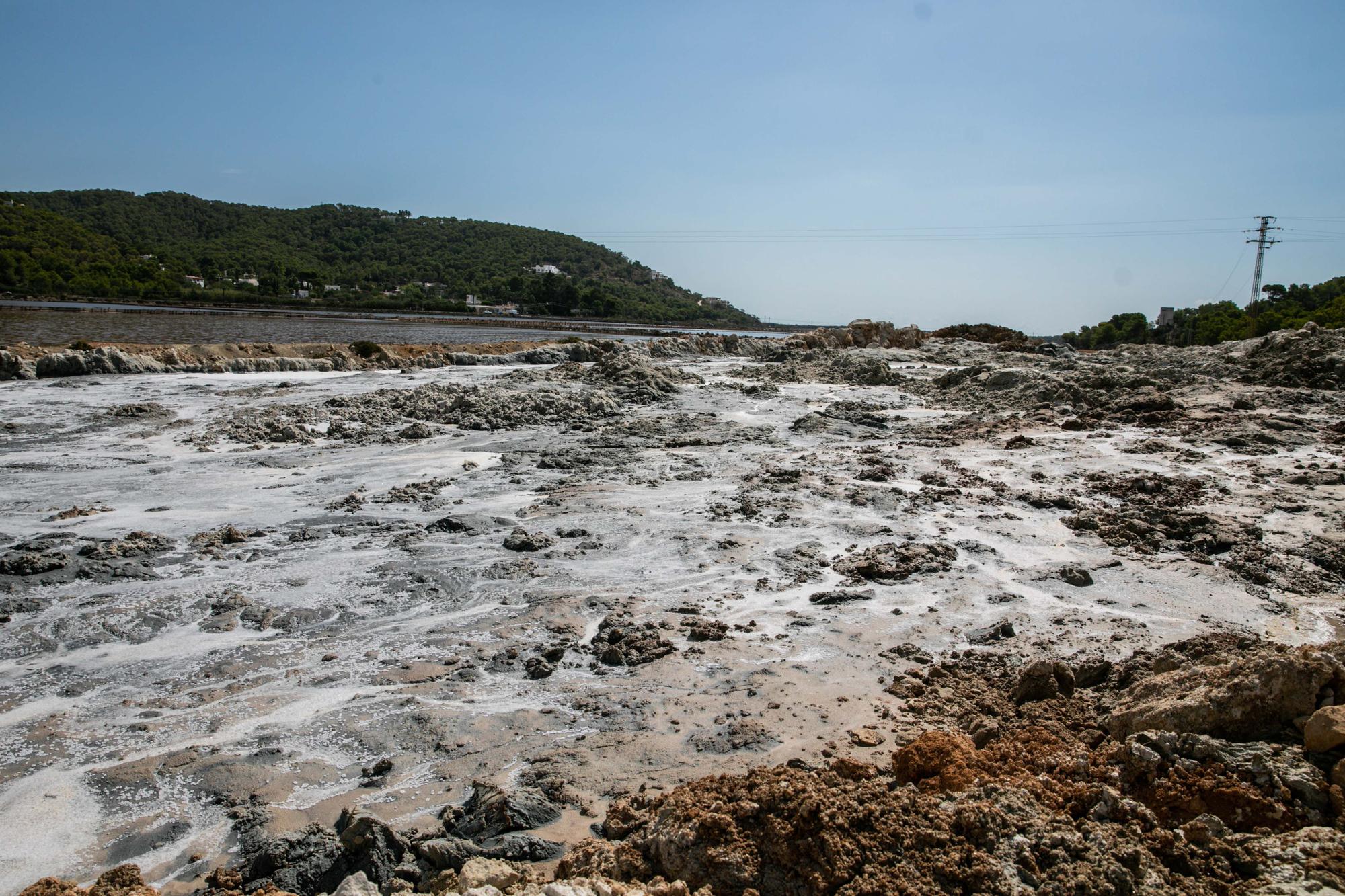 Salinera de Ibiza