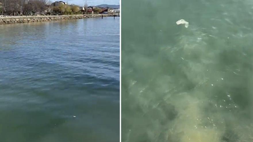 El patrón mayor de Cangas denuncia un nuevo vertido de fecales en la dársena