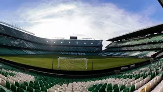 El Betis habilitará 'hoteles' para los vencejos del Villamarín y reprograma los plazos de las obras