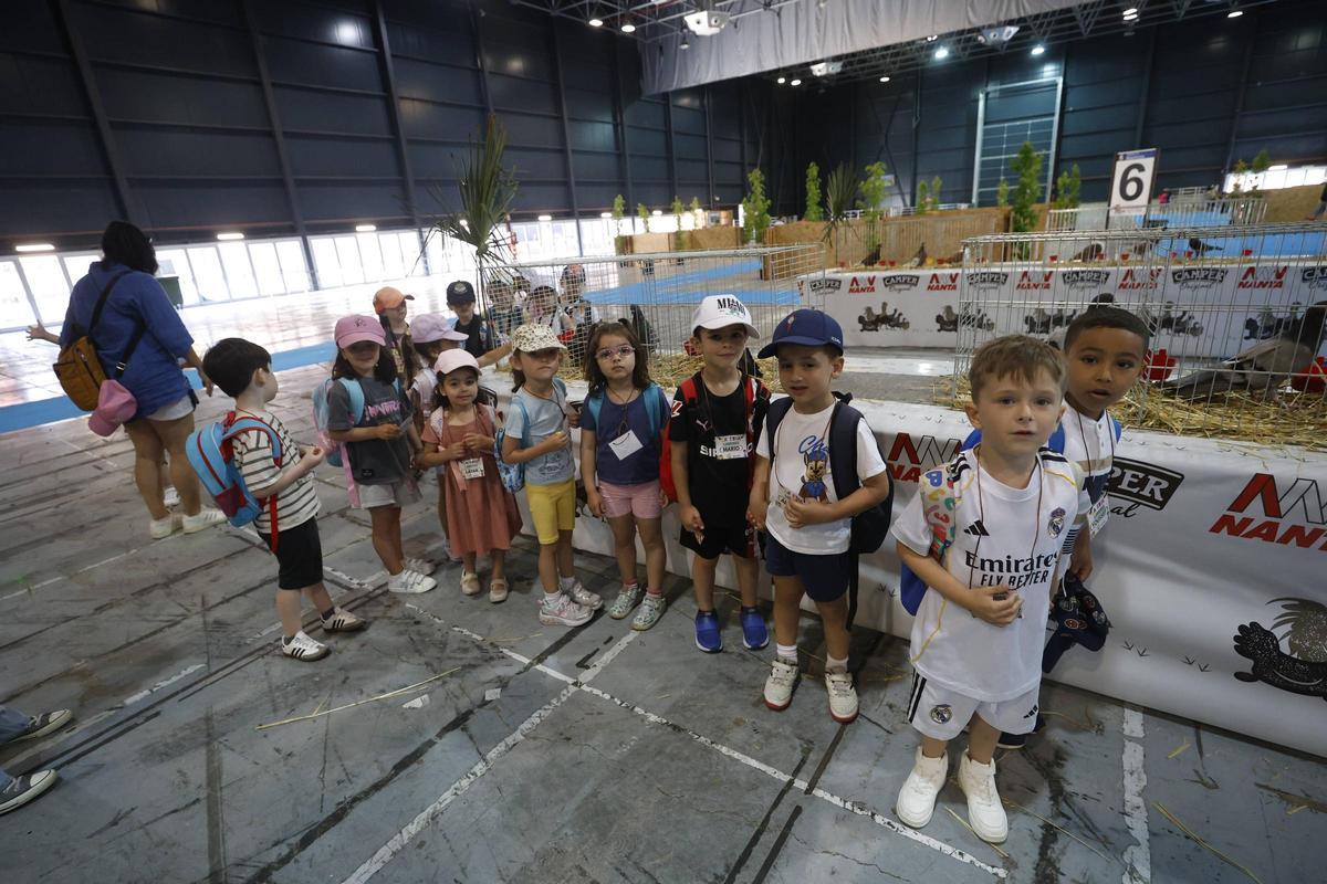 Los más pequeños disfrutan de un anticipo de la feria de San Antonio en Gijón (en imágenes) Los más pequeños disfrutan de un anticipo de la feria de San Antonio en Gijón (en imágenes)