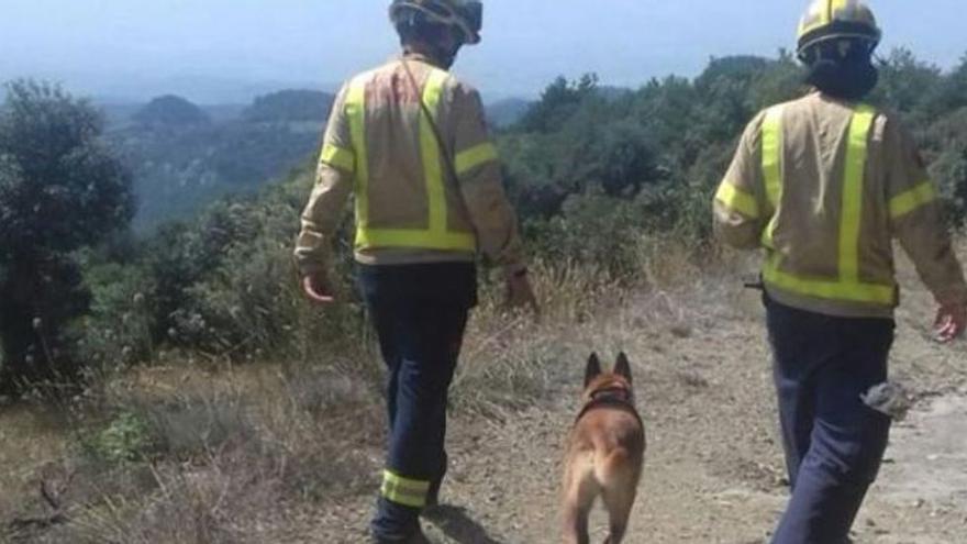 Imatge d&#039;arxiu d&#039;efectius de Bombers participant en una recerca