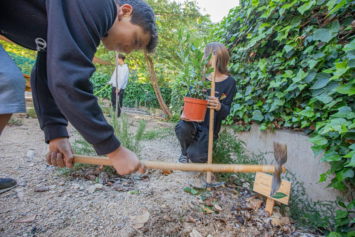 Un instituto «eco friendly» en Elche