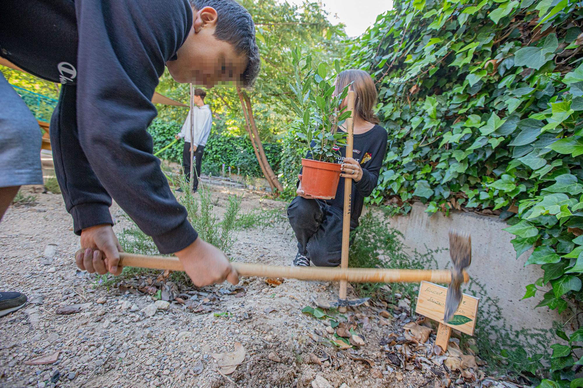 Un instituto «eco friendly» en Elche