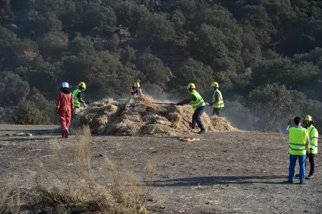 Fotogalería | El 'helimulching' llega a la zona quemada en Villar de Plasencia