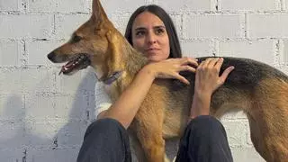 Comerás flores y cantarás tus canciones