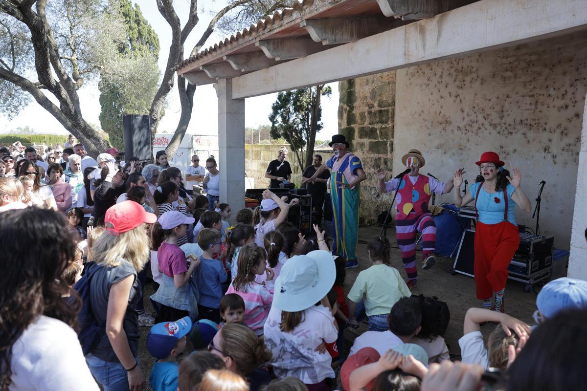 FOTOS | El Pancaritat de Muro, en imágenes FOTOS | El Pancaritat de Muro, en imágenes
