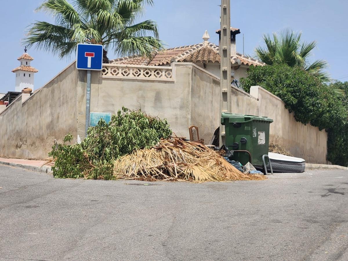 Así están los contenedores de basura de San Miguel de Salinas: hasta arriba de podas y enseres sin que Actúa los retire