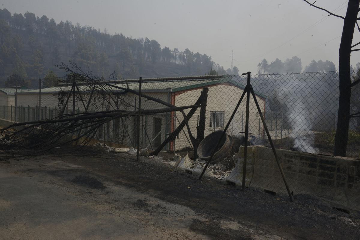 Vista de la Perrera Municipal quemada por el fuego en A Rúa, Ourense
