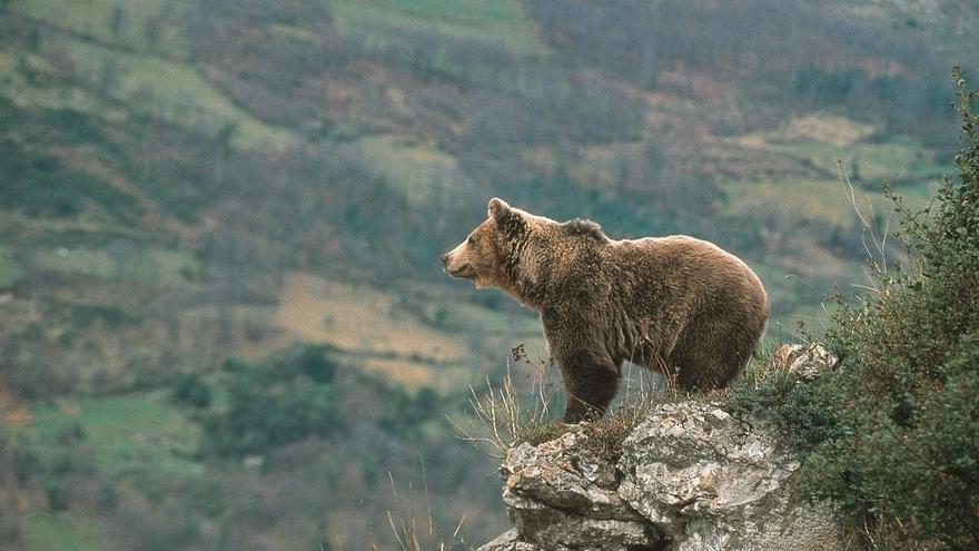 La Asturias más natural y salvaje