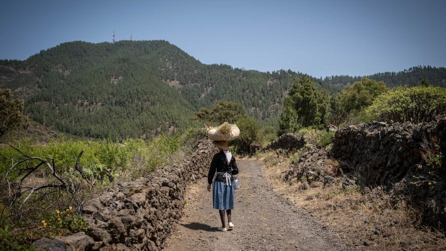 El pasado revive en las veredas y caminos de Santiago del Teide