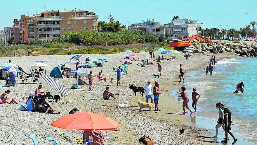 Moncofa potenciará el uso de la playa naturista y para perros