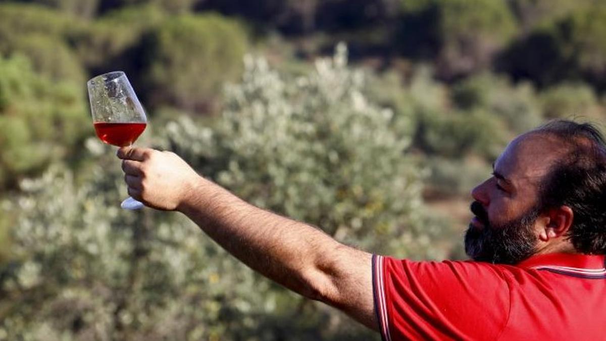 El periodista e historiador Francisco Javier Domínguez observa un vino elaborado con uvas de cepas y variedades extintas desde hace más de un siglo en Alcaracejos (Córdoba).