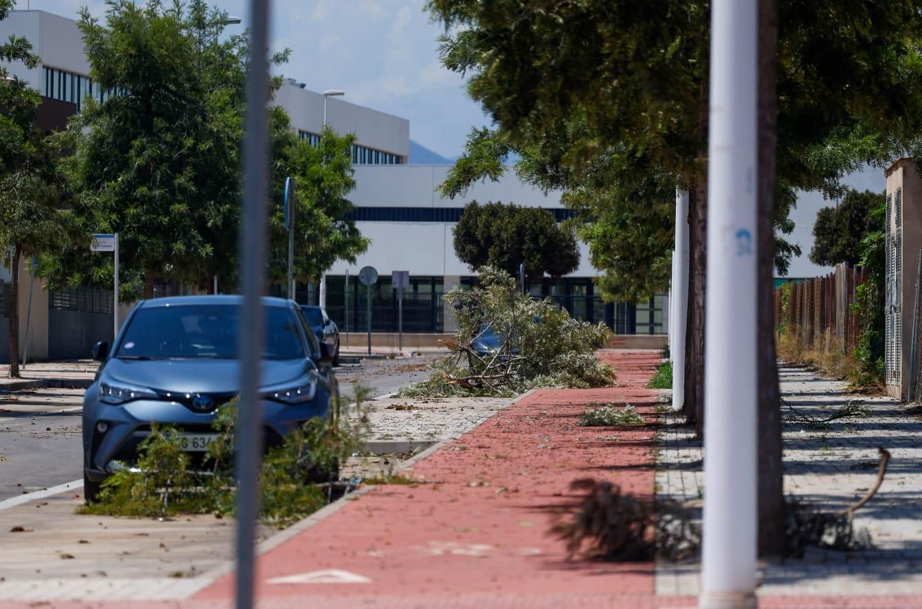 Los efectos del temporal en el Camp de Morvedre