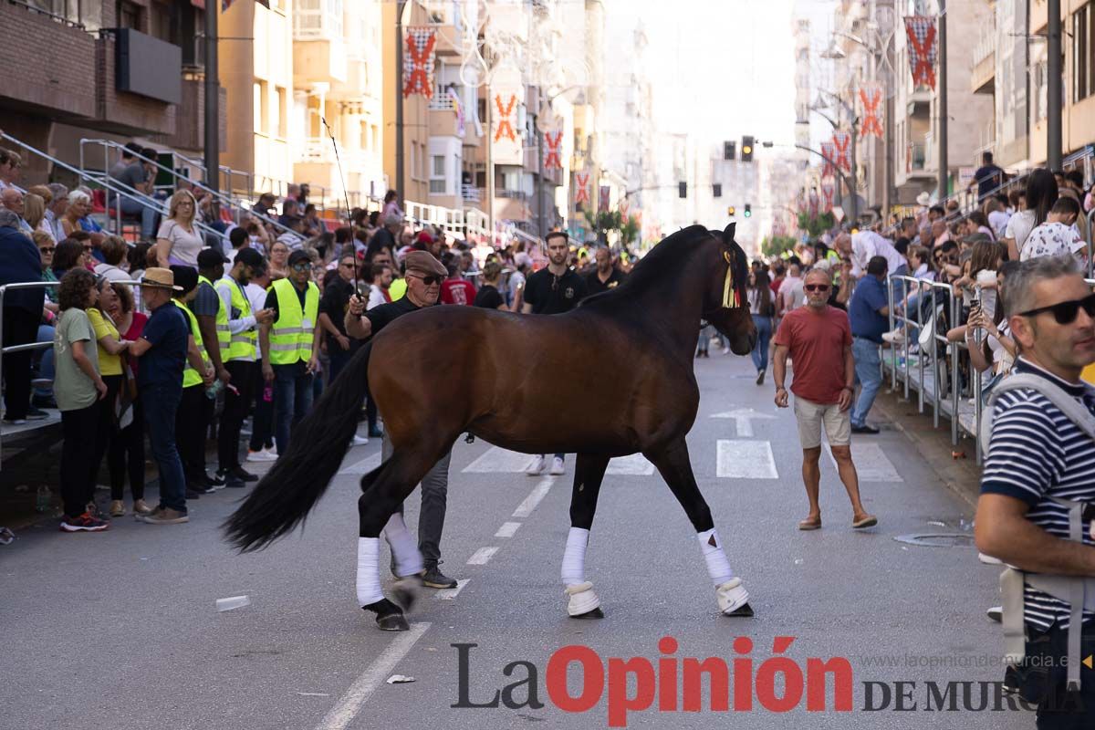 Pasacalles caballos del vino al hoyo