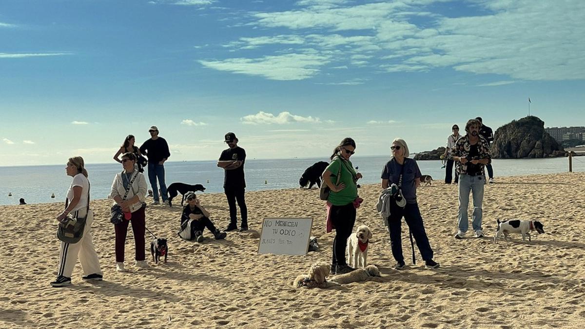 La platja de Blanes que serà per a gossos.