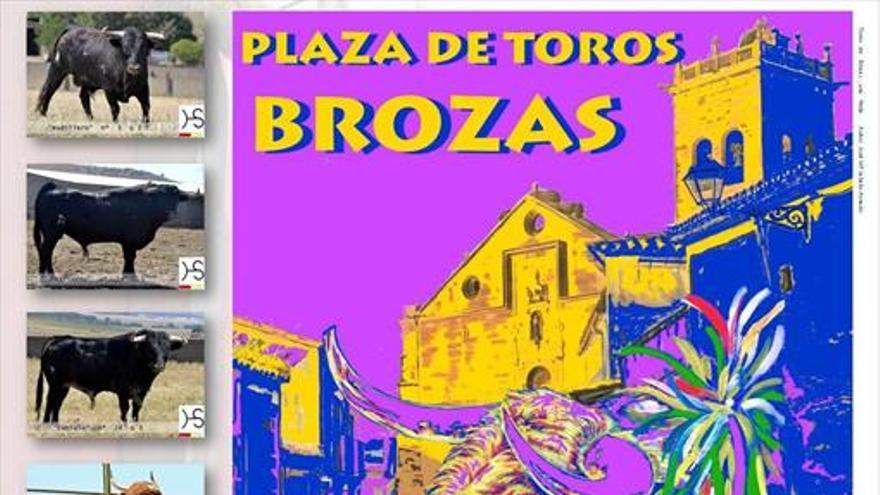 Los Toros de Brozas, la diversión garantizada