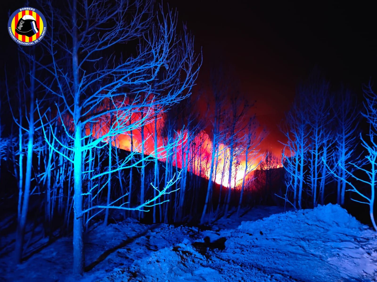 Declarado un incendio forestal en Calles