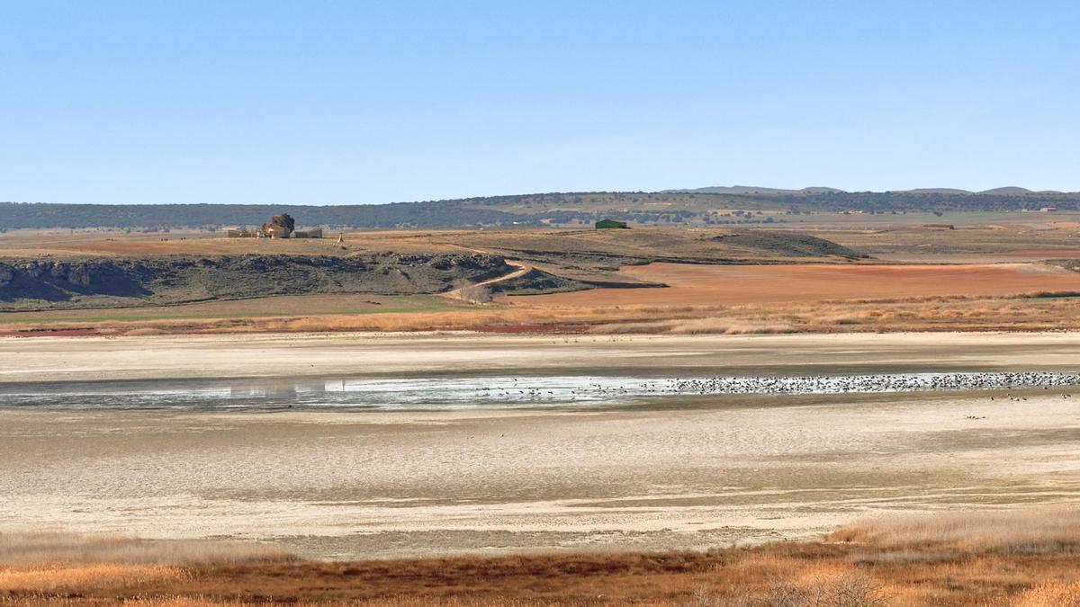La Laguna de Gallocanta es uno de los grandes desconocidos del interior de la Península.