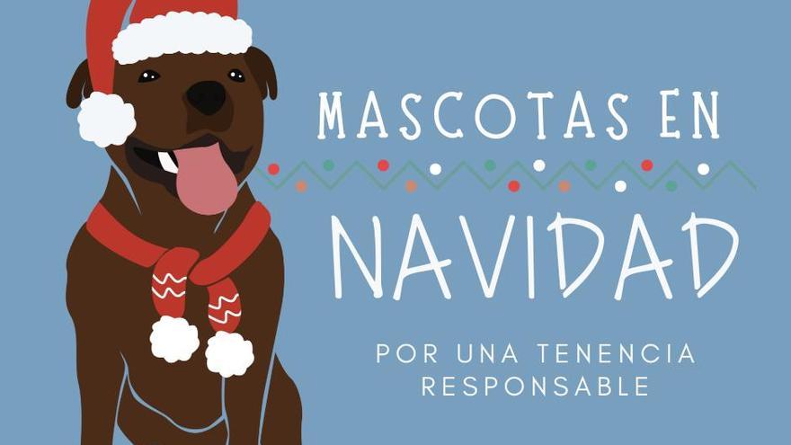 Calvià impulsa la adopción de mascotas de la perrera municipal y éstas son las condiciones