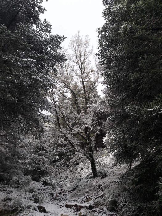 Nieve en Yunquera