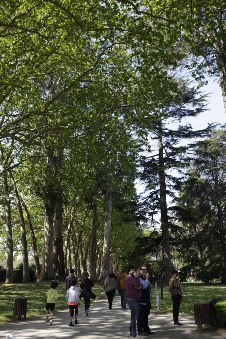 El Botánico celebra su 15 cumpleaños