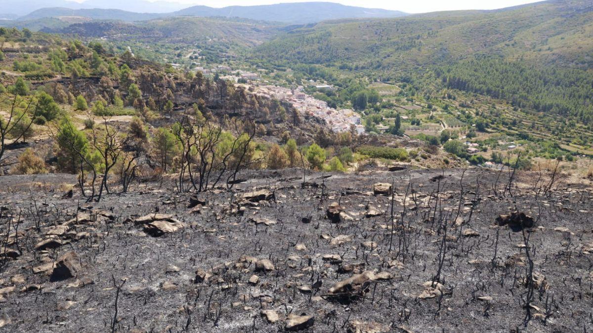 Imagen de la zona devastada por el incendio de Bejís.