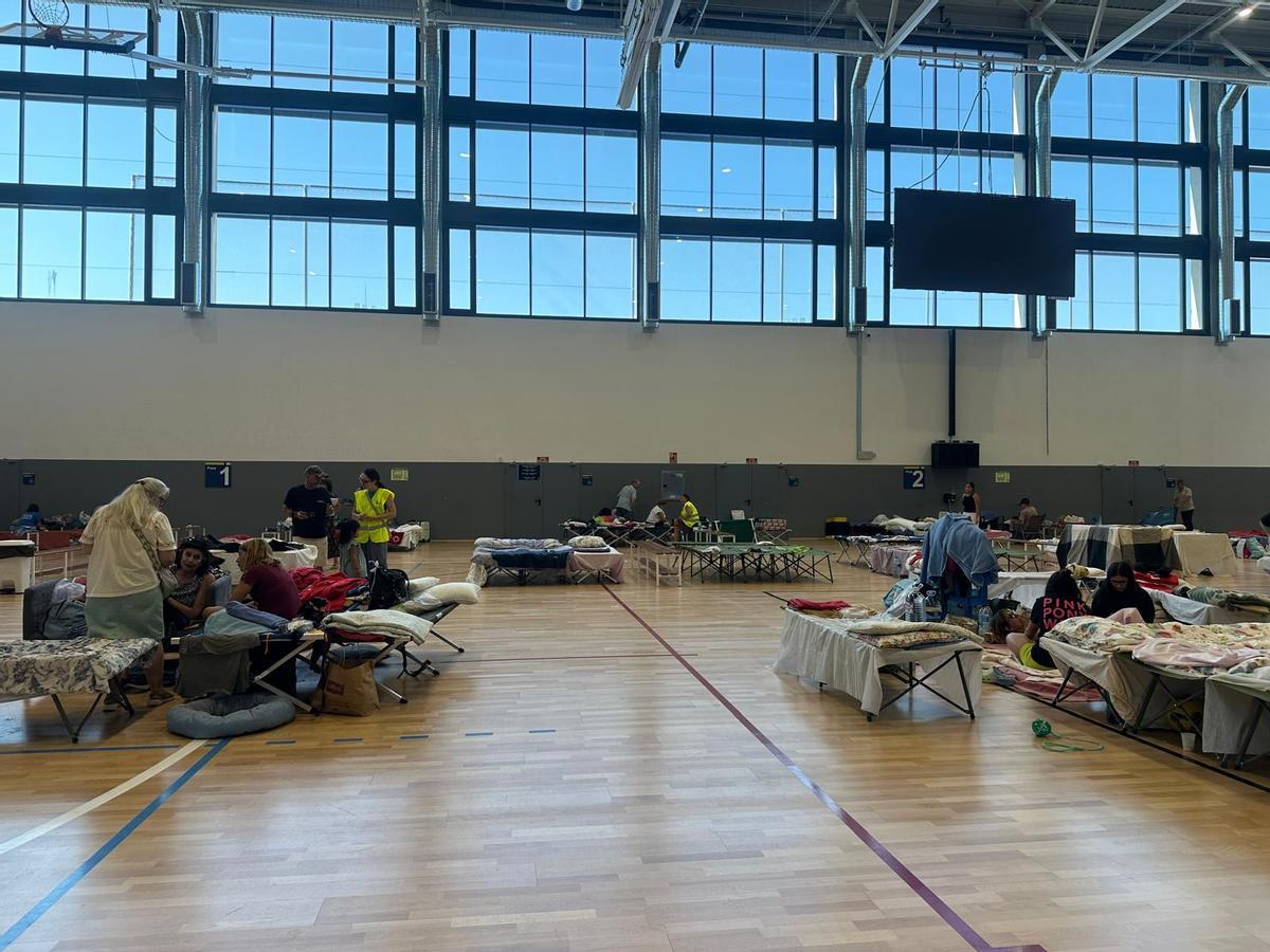 El punto de acogida de La Marazuela, en Las Rozas, atiende estos días a familias evacuadas por los incendios junto a sus animales de compañía.