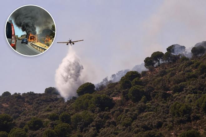 Un camión de paja arde y provoca un incendio forestal en la carretera de Córdoba a Cerro Muriano