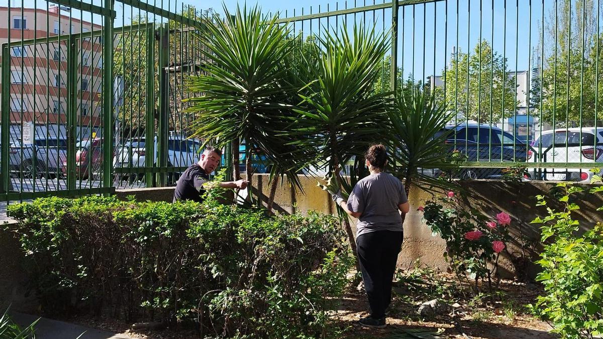 Unos padres limpian los espacios verdes del colegio Jerónimo Zurita.