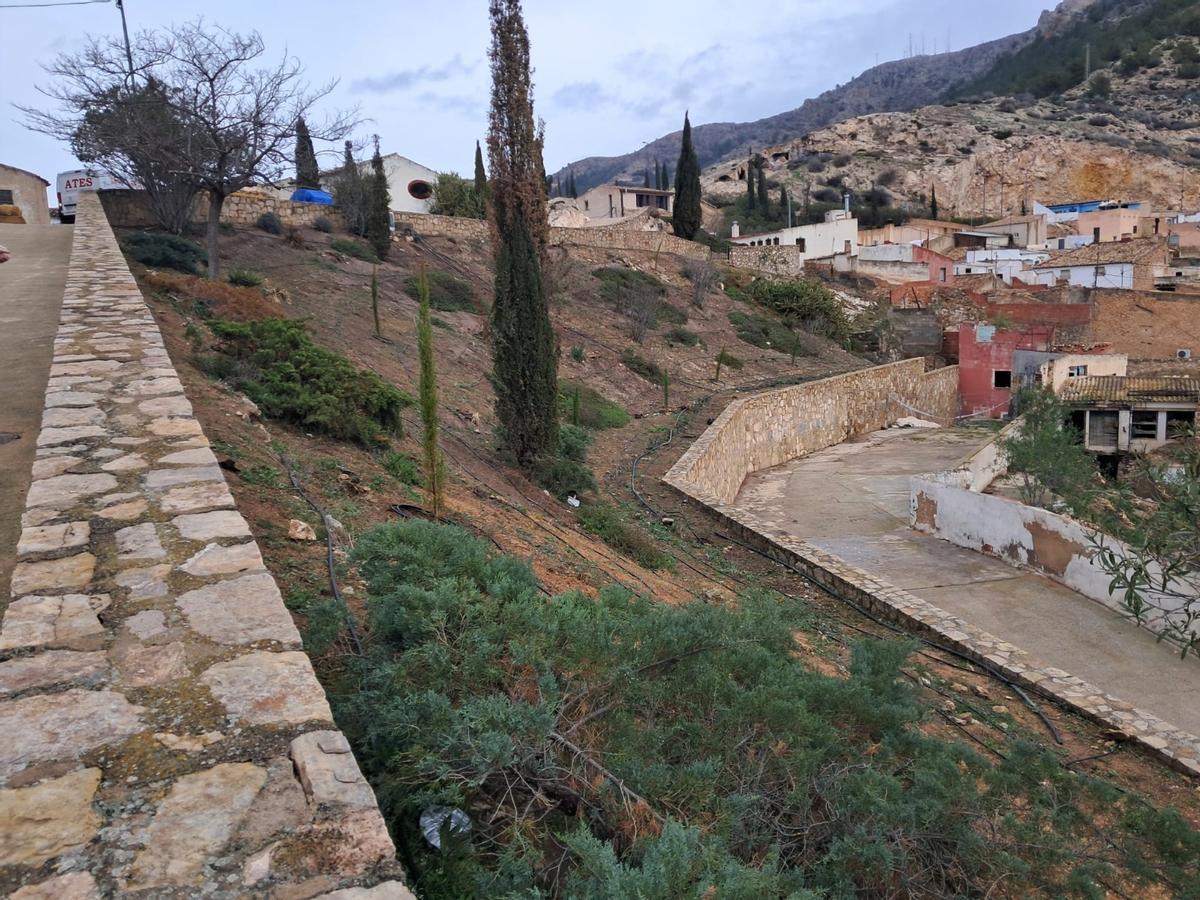 Nuevos arbustos y cipreses plantados en el entorno del castillo.