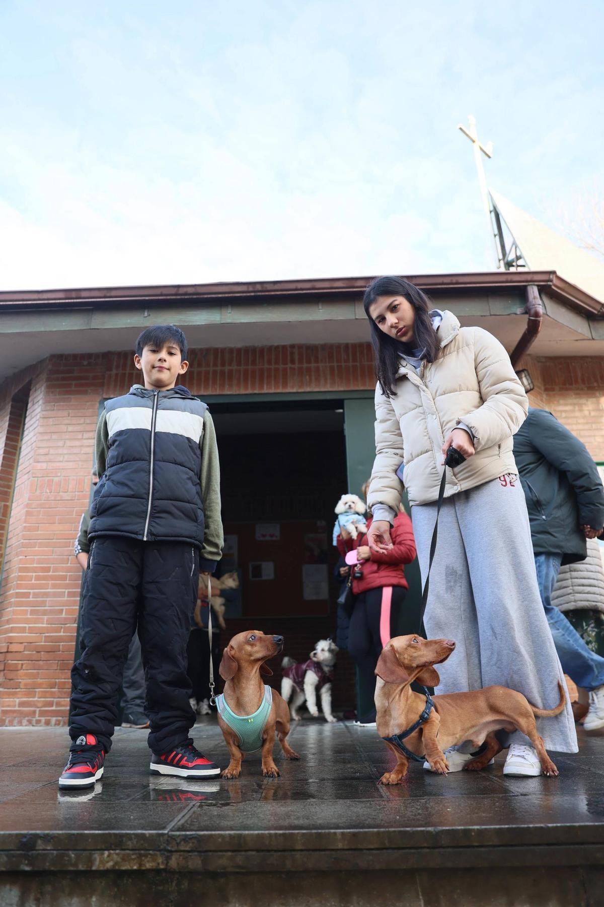 La bendición de animales en La Magdalena, en imágenes
