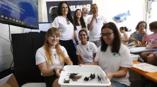 Un acuario de mantas y rayas frente al mar: así son los pequeños tiburones que también existen en el Cantábrico