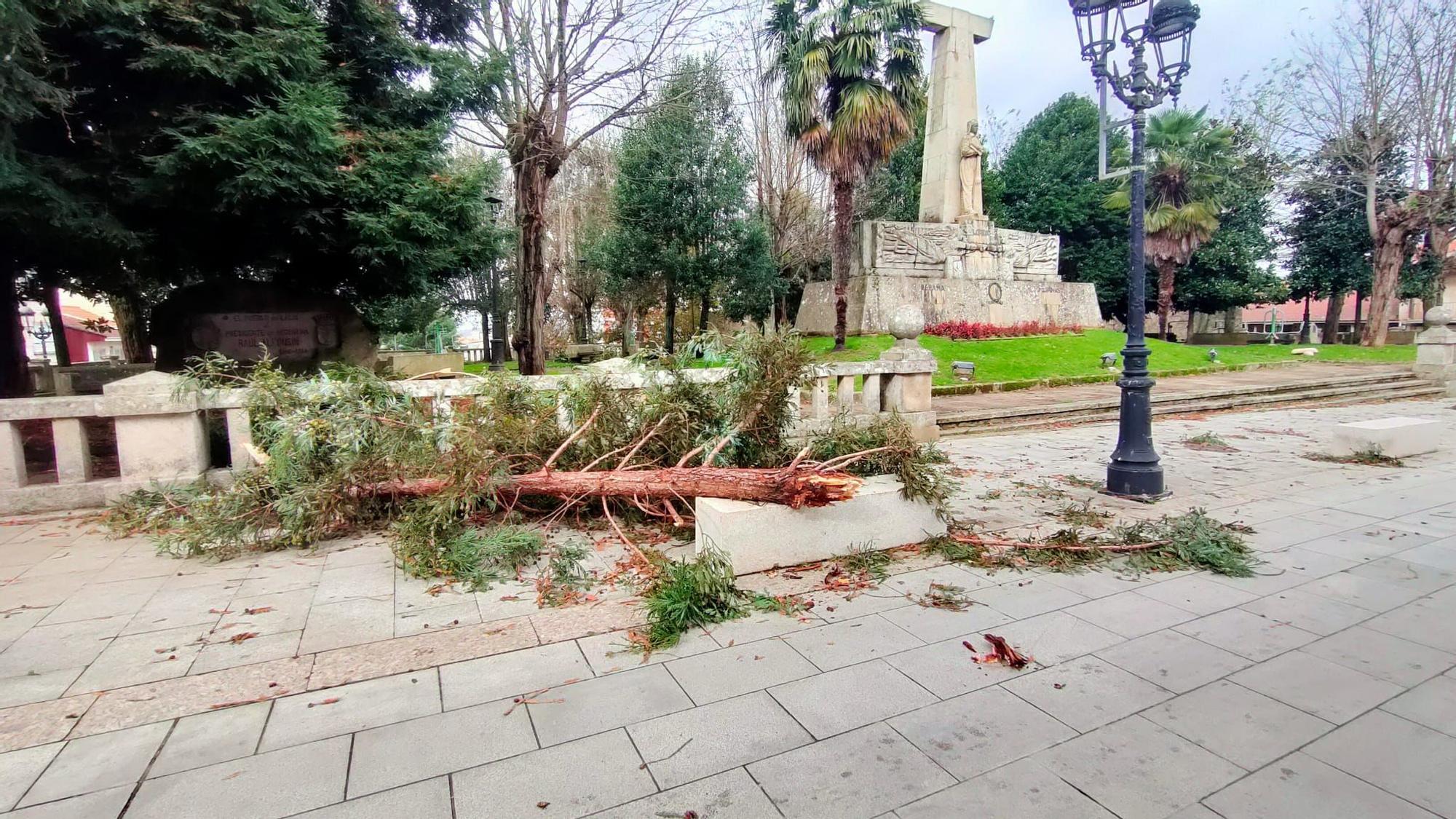 La borrasca Domingos se ensaña con Deza