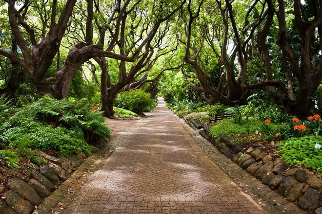 Kirstenbosch, Sudáfrica