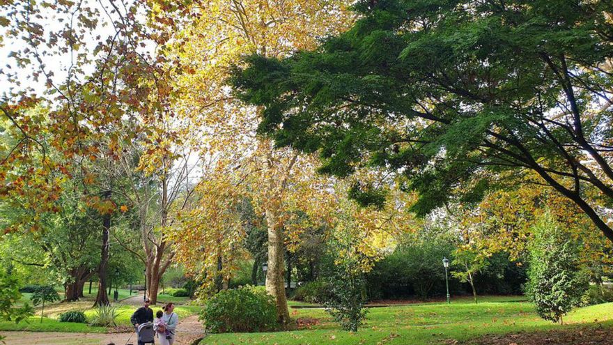 ¿Vigo, ciudad verde?