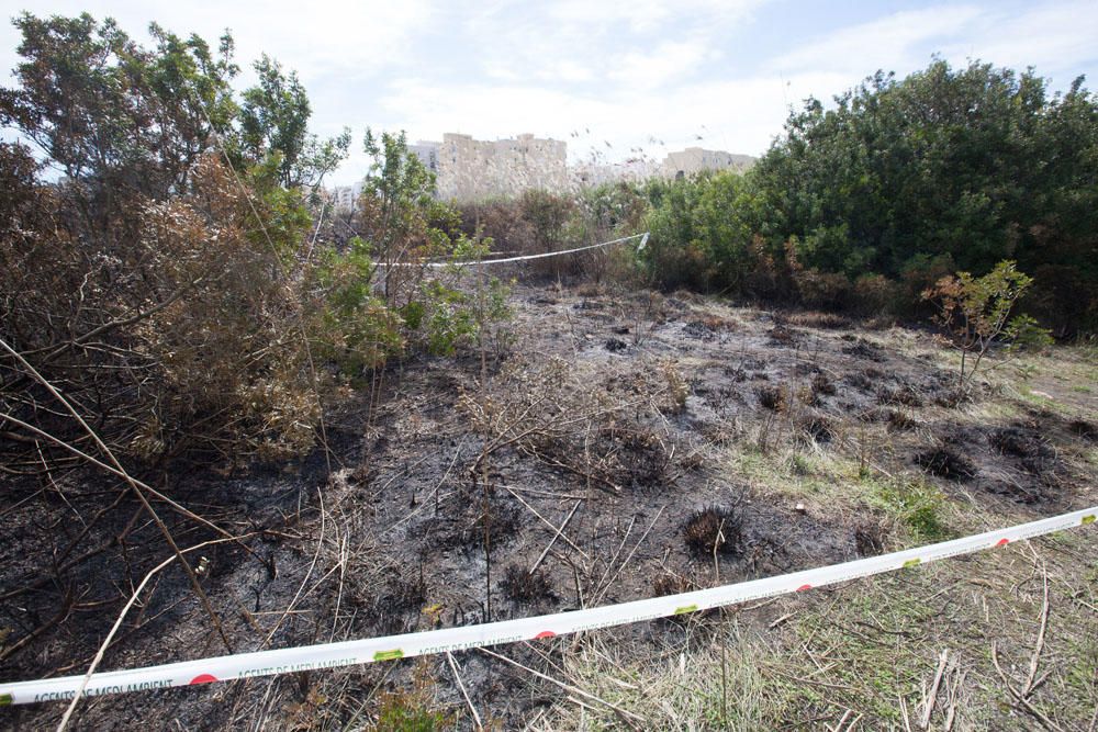 El día después del incendio en ses Feixes