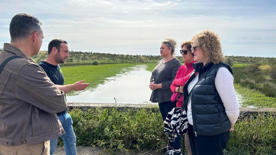 La planta invasora que estrangula el embalse de Talaván: una amenaza creciente, «parecida al camalote»