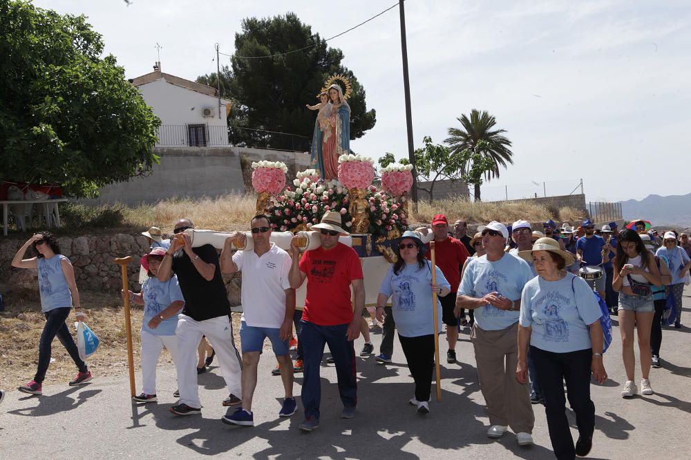 Romería de Barinas