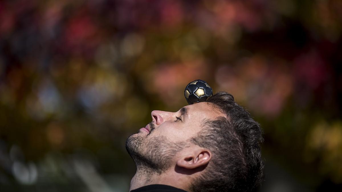 video-stuani