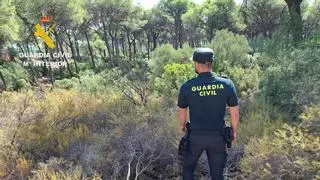 La Guardia Civil rescata a un hombre que pasó 18 horas herido y sin poder pedir auxilio en una zona de pinares de Aznalcázar