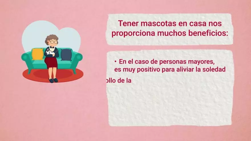 Coronavirus y mascotas