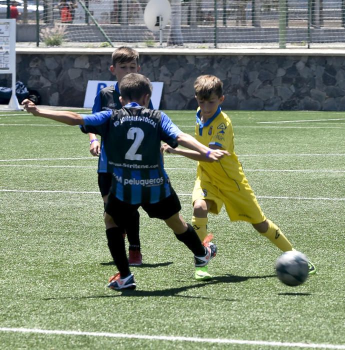 Partidos del Torneo Alevín en Maspalomas