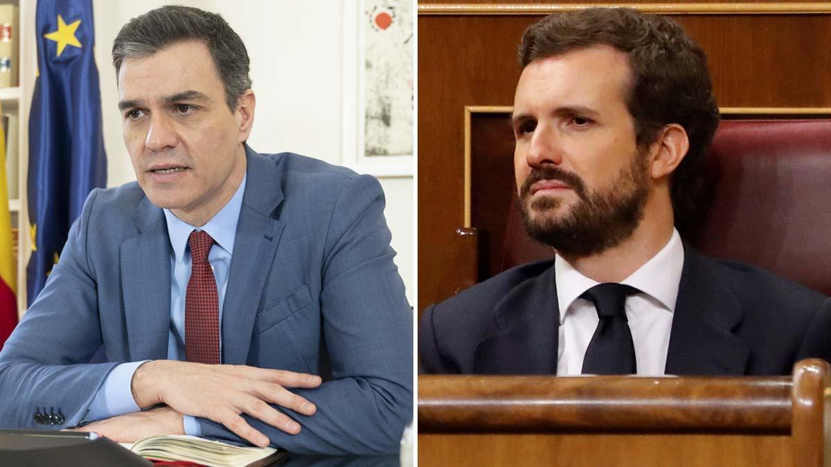 sanchez-casado