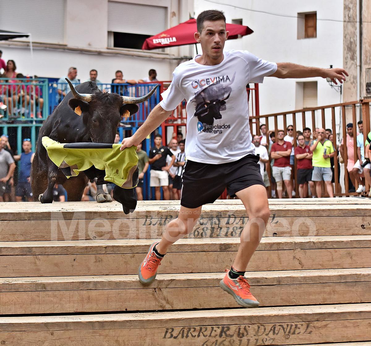 Bous a Vilafamés 2025 Bous a Vilafamés 2025