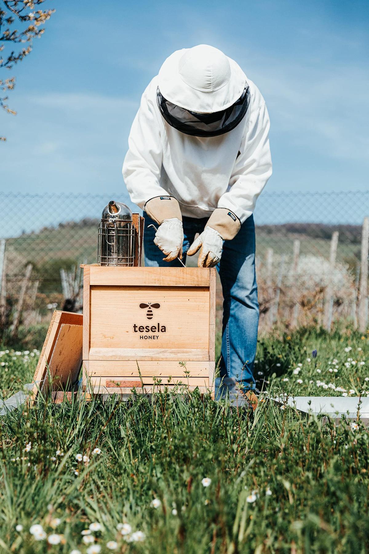 Tesela Natura instala colmenas en instalaciones fotovoltaicas para producir miel y cosméticos.