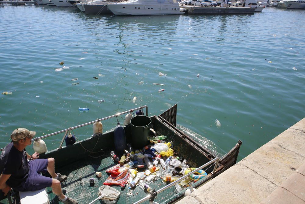 Alicante amanece disfrazada de basura