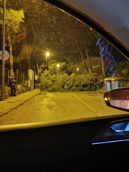 El vent provoca destrosses a les comarques gironines